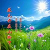 花儿开在山脚下 - 守护一生