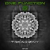 Transient - One Function
