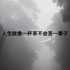 人生就像一杯茶 (说唱版) - 余丰ins