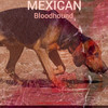 Bloodhound - Mexican