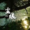 尘缘 (繁花落尽一身憔悴在风里) - 王佳音