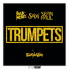 Trumpets (Radio Mix) - Sak Noel&Salvi&Sean Paul