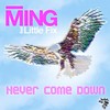 Never Come Down feat. Little Fix (Jumpshot Remix) - MING