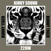 220 W (Dnl Mike Remix) - Kinky Sound&Dnl Mike