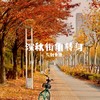 深秋街角转身 (久别重逢) - Dsll
