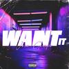 Want It (Explicit) - Jose Guapo