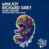 Music Sounds (Afro Houze Mix) - minijoy&Richard Grey