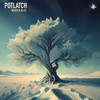 Sunlit Snow - Potlatch