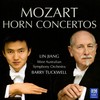 1. Allegro maestoso - Lin Jiang&West Australian Symphony Orchestra&Barry Tuckwell