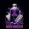 Water (Explicit) - Mike Sneezzy