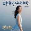 当初我们不认识就好 (烟嗓版) - 刘皮特