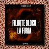 Filhote bloco lá fúria (Explicit) - MC Negritin&dj cl 22