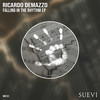 In The Groove - Ricardo Demazzo