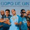 Copo de Gin (Explicit) - Portugal No Beat&Mc Rodrigo do CN&Zé Felipe&MC Kevin o Chris&MC Ph