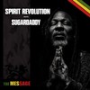 Good Times - Spirit Revolution&Sugardaddy