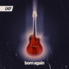 Born Again - Blooom&Wolfy Lights