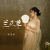 兰花草 - 阿美呀