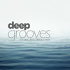 Disco Down (Luca Cassani Dub) - House Of Glass&Giorgio Giordano