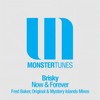 Now & Forever (Fred Baker Remix) - Brisky