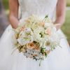 My Bride - Bajo