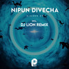 Boogie Woogie (DJ Lion Remix) - Nipun Divecha&Dj Lion