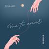 Vou Te Amar (Radio Edit|Explicit) - Dj Aguillar