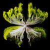 Along Came Polly (Konstantin Sibold, ZAC, CARMEE Remix) - Rebuke&Konstantin Sibold&ZAC&CARMEE