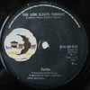 The Lion Sleeps Tonight - Kariba