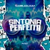 Sintonia Perfeita (Explicit) - DjLzr o Brabo&MC GW&FreesTyle Sounds&MC Gil