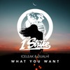 What You Want - Iceleak&Dualhï