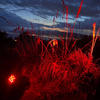 Steel Blood (Explicit) - Giuseppe Battaglia