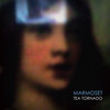Written Today - Marmoset