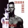 Two Breddrens (Album Version) - Shabba Ranks&Chubb Rock