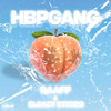 HBPGANG (Explicit) - Saaff&Sleazy Stereo