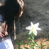 我的不舍看不见 - 颜妹