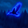 Raven - Cod Gomplex