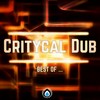 The Light (Original Mix) - Critycal Dub