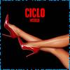 Ciclo Vicioso (Explicit) - Mc LM&Dj Vinny ZL