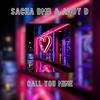 Call You Mine - Sacha DMB & Andy D