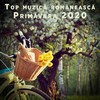 Serenade - Ligia&Matteo