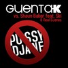 P**sy DJane (Extended) - Guenta K&Ski&Shaun Baker&Real DJanes