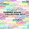 Don't U Want (Nanni Garage Negro Mix) - Francois Le Roy