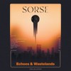 Spectacle Island - Sorse&Akuratyde