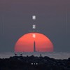 栖息地 - 印子月