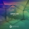 To Fly (Original Mix Edit) - ORNICAN