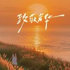 致敬芳华 - 张梦弘