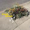 If I fade (please) - Khamsin&Kidswaste
