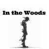 In the Woods (Explicit) - Ozizo