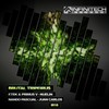 Brutal Groove (Original Mix) - Nuelin