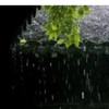 助眠雷雨声：暴雨与雷 - 葡萄不甜